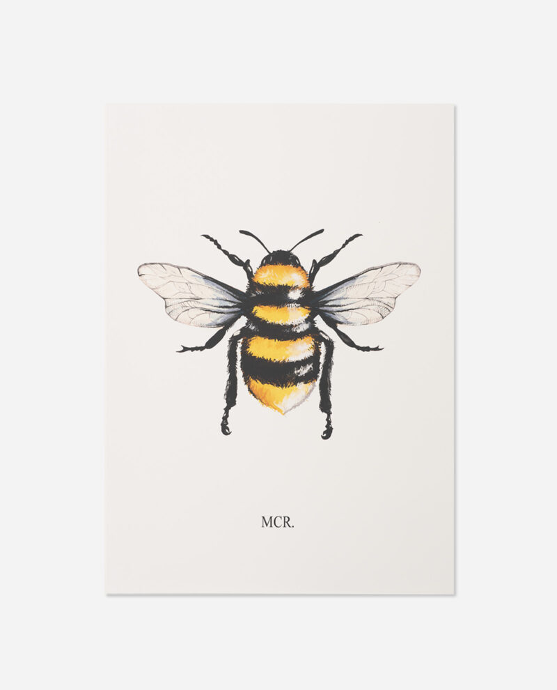 Manchester Bee Rendered Print with full-colour illustrated bee, yellow and black body stripes, delicate wing detail and MCR typography on cream card